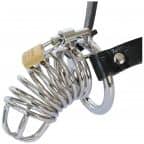 Chastity belt