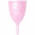 Femintimate Eve Cup Large