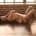 Riley Reid Fleshlight