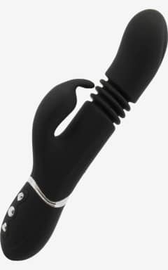 Søg efter alder Star Thruster Rabbit