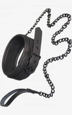 Alle Blaze Collar and Leash Black