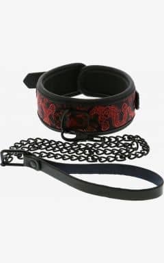 Rollespil Blaze Deluxe Collar & Leash