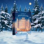 Satisfyer Deluxe Erotic Advent Calendar 2025