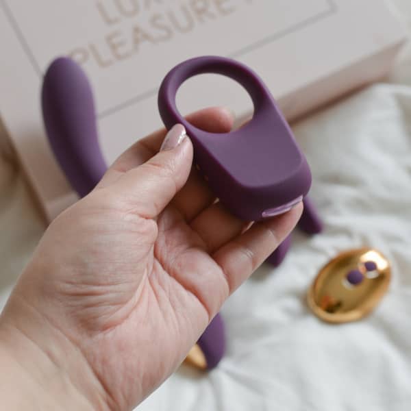 Luxury Pleasure Kit