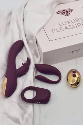Vibratorer til par Luxury Pleasure Kit