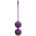 Kegel Balls with remote control