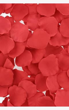 Nyheder Loverspremium Bed Of Roses Rose Petals Red
