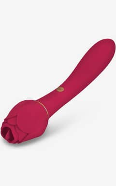 Alle Secret Kisses Rosegasm Lingo Dual Vibe