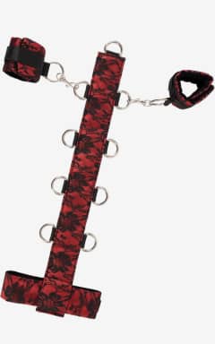 Alle Collar Red