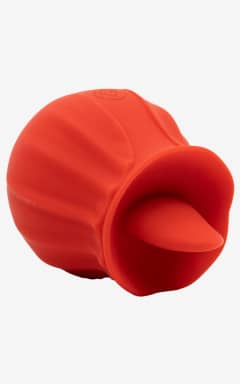 Tilbud Lily Rose Red