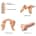 Sliding Skin Realistic Dildo Vanilla XXL