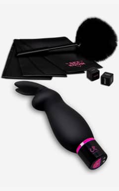 Sexlegetøj til par Sex Room Raunchy Kit