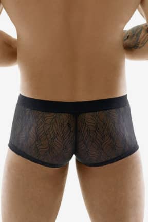 Lingeri Svenjoyment Lace Pants For Men Black - For mænd