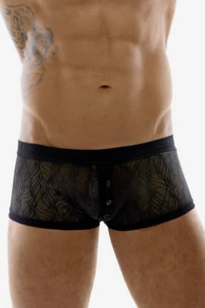 Lingeri Svenjoyment Lace Pants For Men Black - For mænd