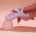 Svakom Echo Clitoral Stimulator Pink