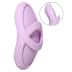 Svakom Echo Clitoral Stimulator Pink
