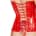 Black Level - Vinyl Corset - Red - XL