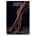 Daring Intimates - Over Sized Net Tights