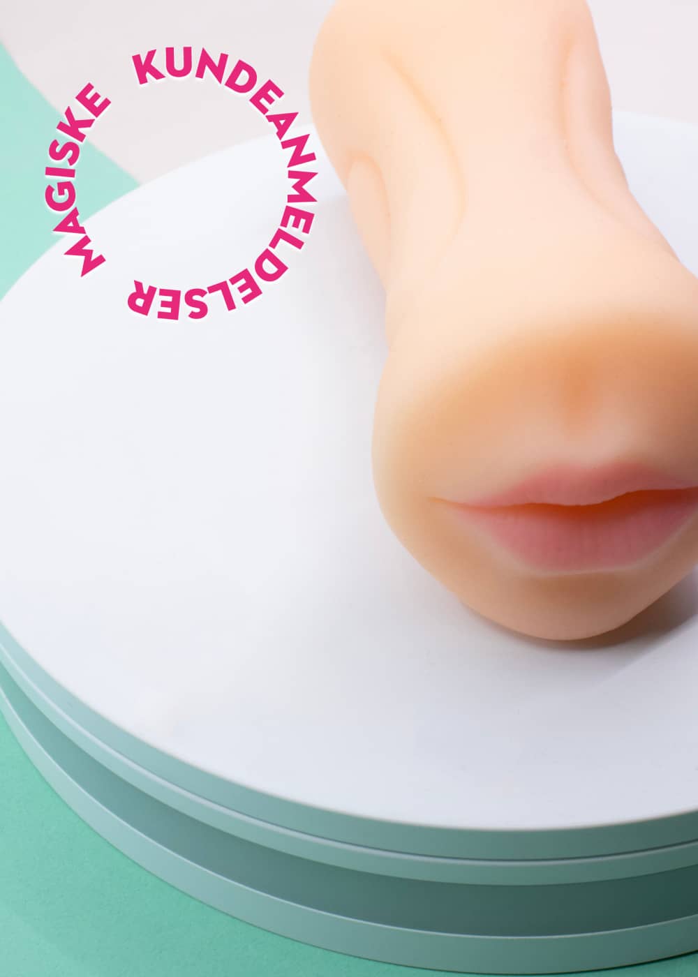 Bedste Mouth and Vagina Stroker med anmeldelse