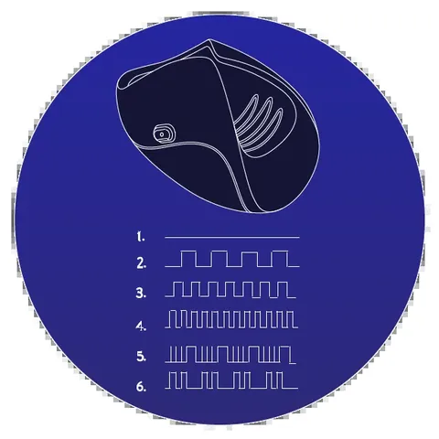De 6 vibrationsmønstre